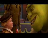 Шрэк навсегда / Shrek Forever After (2010) DVD9