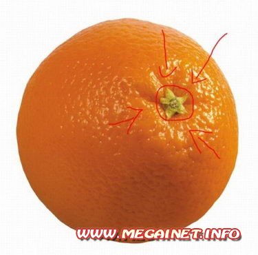 Как узнать сколько долек в апельсине в 2 ШАГА