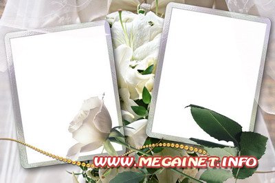 Рамка для фотошопа - Белая роза Рамка для фотошопа - Белая роза