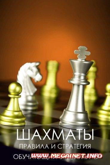 Шахматы - Правила и стратегия. Обучающий видеокурс 2011