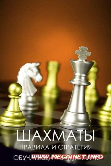 Шахматы - Правила и стратегия. Обучающий видеокурс 2011 Шахматы - Правила и стратегия. Обучающий видеокурс 2011