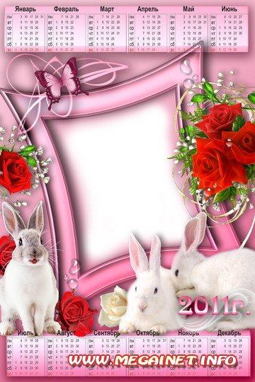 Рамки - календарь на 2011 год - Белый кролик