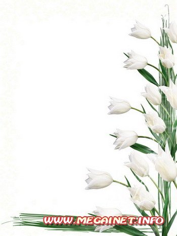 Рамка для фотографии - Белые цветы
