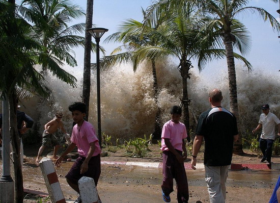 Интересные факты о цунами