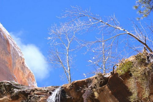 Национальный парк Зайон ( Штат - Юта )