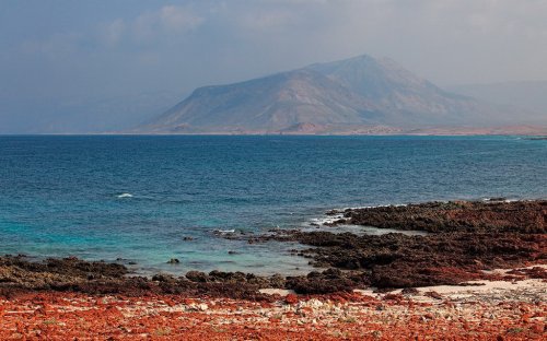 Остров Сокотра ( фото )