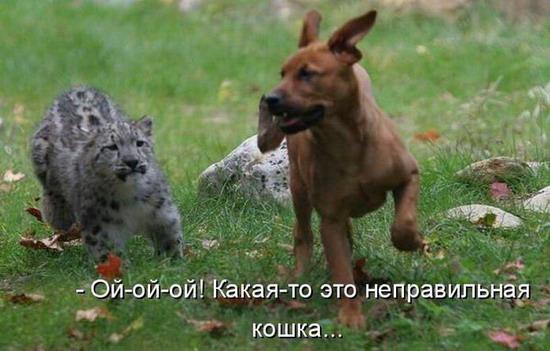 Эротику С Животными Эротику С Животными