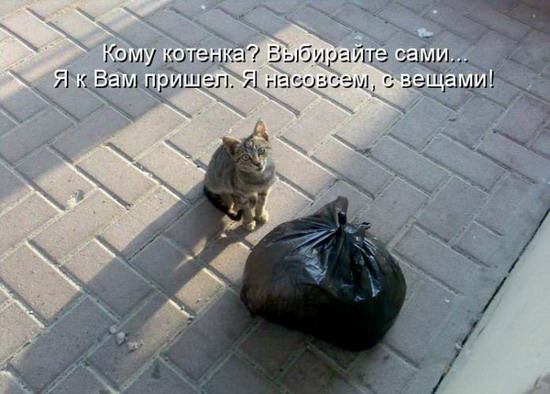 Фотоприколы: Смешные картинки с надписями Фотоприколы: Смешные картинки с надписями