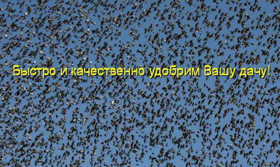Фотоприколы: Смешные картинки с надписями Фотоприколы: Смешные картинки с надписями