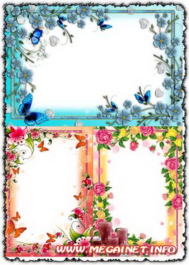 Красивые рамки для фотошопа - Цветы и бабочки