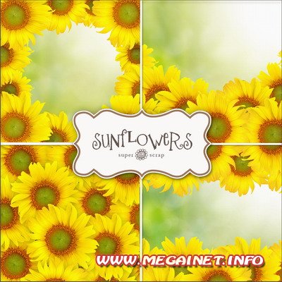 Красивые фоны для создания коллажей и рамок - Sunflowers
