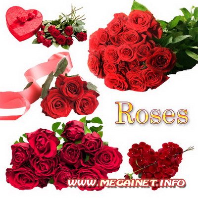 Клипарт для фотошопа - Букет красных роз