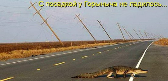 Юмор: Смешные картинки животных с надписями Юмор: Смешные картинки животных с надписями