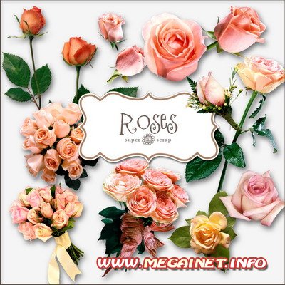 Цветочный клипарт для фотошопа - Розы ( 2 )