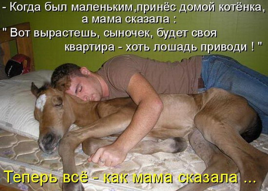 Юмор: Смешные картинки животных с надписями Юмор: Смешные картинки животных с надписями