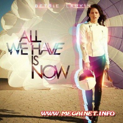 Betsie Larkin - All We Have Is Now ( 2011 )