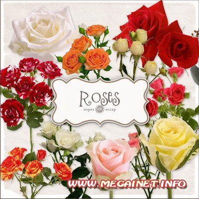 Цветочный клипарт для фотошопа - Розы