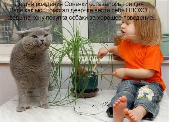 Юмор: Смешные картинки животных с надписями Юмор: Смешные картинки животных с надписями