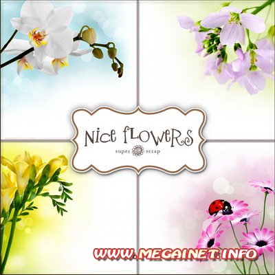 Цветочные фоны для фотографий - Красивые цветы