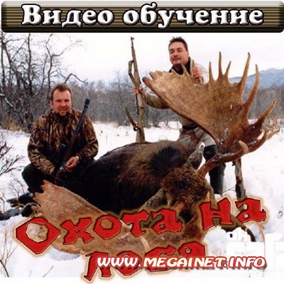Охота на лося ( 2011 / DVDRip )