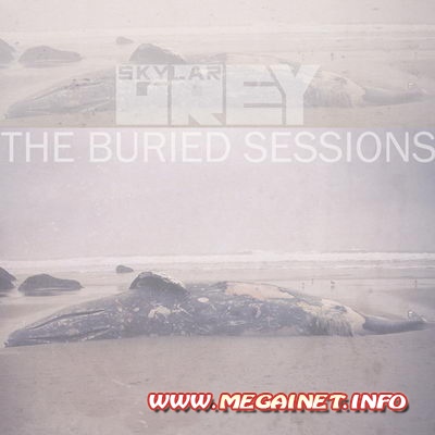 Skylar Grey – The Buried Sessions ( 2012 )