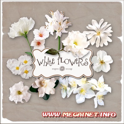 Клипарт для фотошопа - Белые цветы
