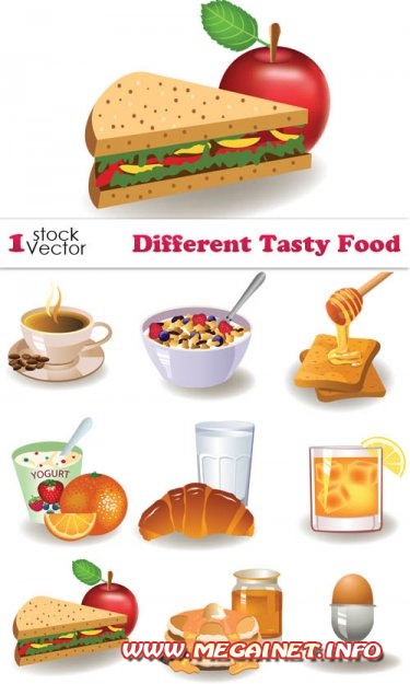 Different Tasty Food Vector