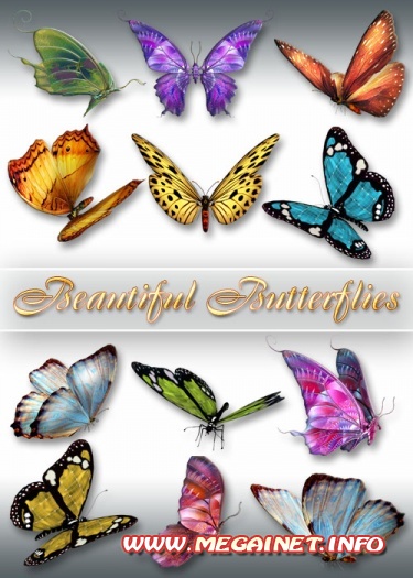 Клипарт PNG - Beautiful Butterflies