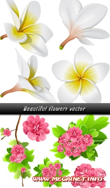 Векторные цветы - Beautiful flowers