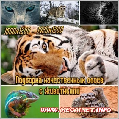 Подборка качественных обоев с животными