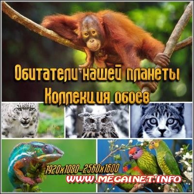 Обитатели нашей планеты - Коллекция обоев