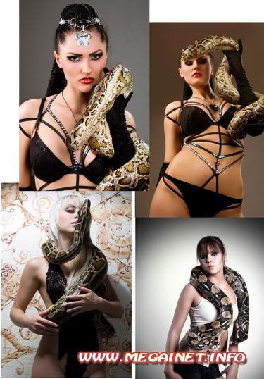 Фотоклипарт - Девушки и змеи