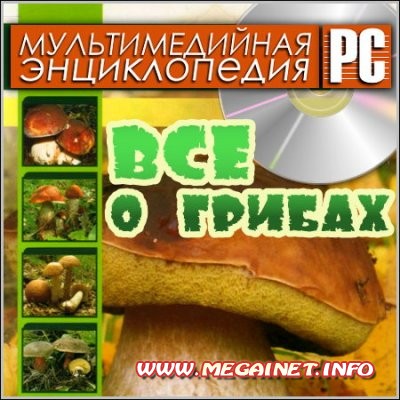 Все о грибах - Мультимедийная энциклопедия ( PC / Rus ) Все о грибах - Мультимедийная энциклопедия ( PC / Rus )