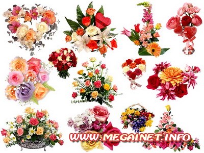 Клипарт PNG - Красивые букеты цветов