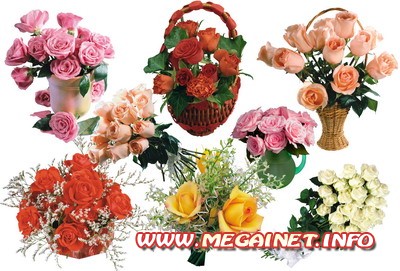 Клипарт цветы - Красивые букеты роз
