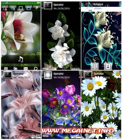 Темы на телефон - Красивые цветы
