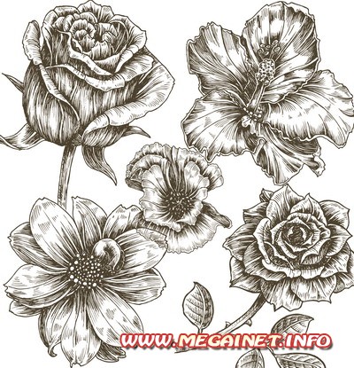 Клипарт PNG - Рисованные цветы
