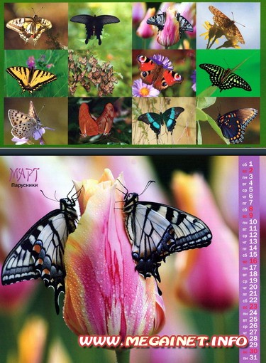 Настенный календарь на 2014 год - Бабочки