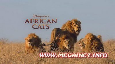 African Cats. Disneynature. Трейлер к фильму