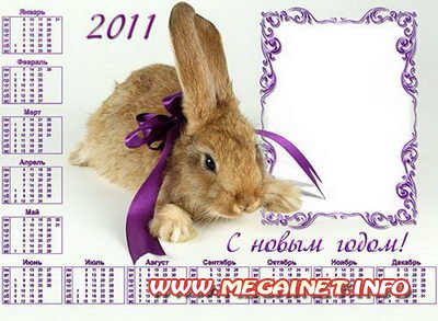 Фоторамка - Календарь 2011 - Кролик с фиолетовым бантом