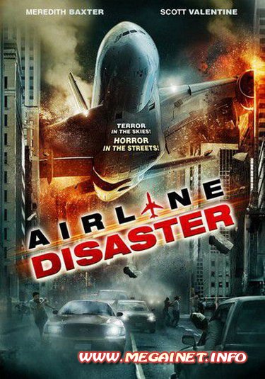 Катастрофа на авиалинии / Airline Disaster (2010) DVDRip 1400MB