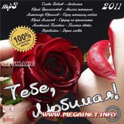 Тебе, Любимая! 3 (2011) Тебе, Любимая! 3 (2011)