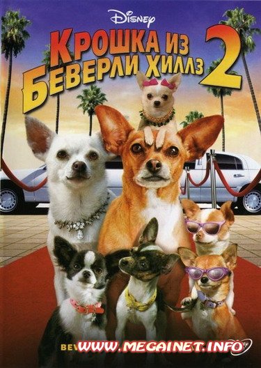 Крошка из Беверли-Хиллз 2 (2011) DVDRip для PSP