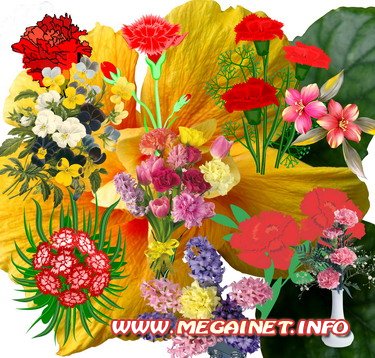 Красивая коллекция цветов для украшения к рамкам 8 марта