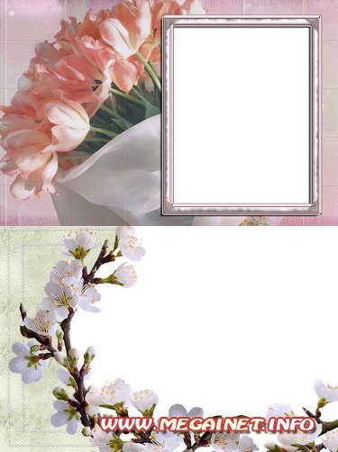 Красивые рамки для фотографий - Весенние цветы к 8 марта