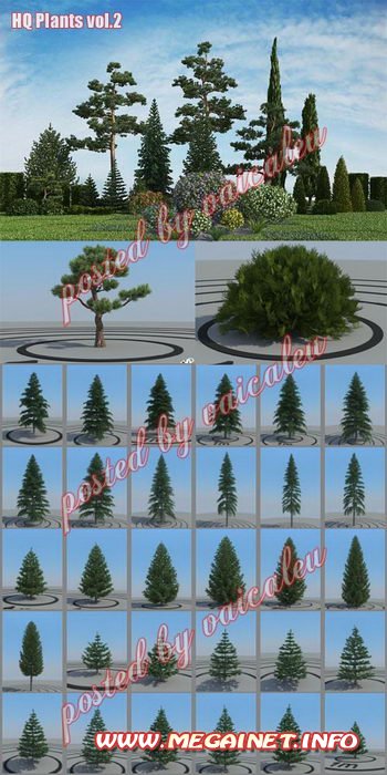 3D Модели - Растения (Plants) vol.2 [MAX edition]