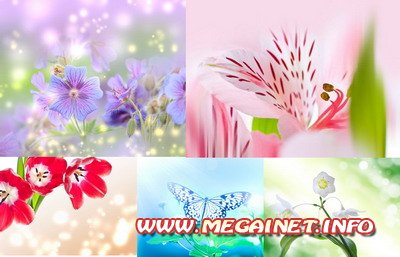 Красивые фоны для фотошопа - Цветы Красивые фоны для фотошопа - Цветы