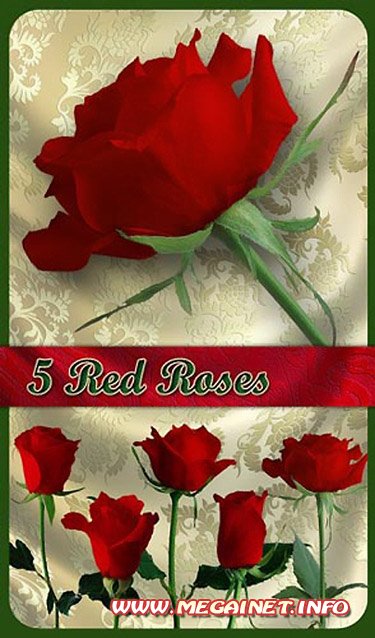 Цветочный клипарт PNG - Красные Розы
