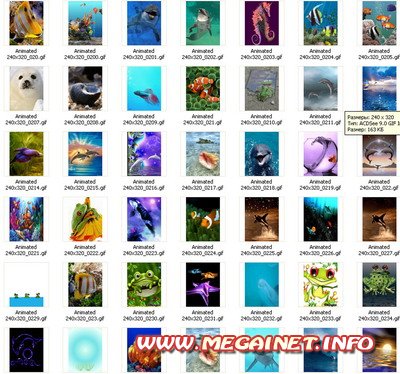 Обои для телефона - GIF анимация ( море ) Обои для телефона - GIF анимация ( море )