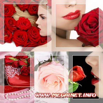HD Wallpaper - Розы